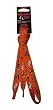 Foot Galaxy 45" Halloween Trick or Treat Printed Shoe Laces