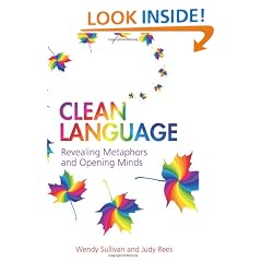 Clean Language: Revealing Metaphors and Opening Minds