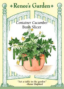 Cucumber, Container, Bush Slicer Cucumber, Container, Bush Slicer