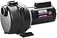 WAYNE WLS150 1.5 HP High Volume Cast Iron Lawn Sprinkling Pump