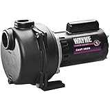 WAYNE WLS150 1.5 HP High Volume Cast Iron Lawn Sprinkling Pump