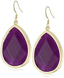 Leslie Danzis 2" Raspberry Dyed Jade Gemstone Earrings