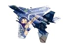 1/48 F...