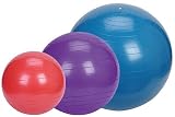 Sunny Health & Fitness 55cm Pilates Exercise Ball – Red