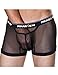 Men's Underwears Sexy See-through Boxers Briefs 3 Size