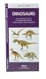 Dinosaurs: An Introduction to Familiar Species, Their Habits and Habitats (A Pocket Tutor Guide)