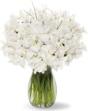 Deluxe White Iris with Jordan Vase