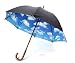 Sky Umbrella