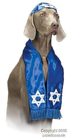 Pet Shalom Dog Halloween Costume For Large Dogs 