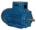 Weg Electric E01836XP3YAX160LF3-W, 25HP, 3600 RPM, 3PH, 460V, 160M/L Frame, Standard Flange, Foot Mount, TEFC, Explosion ProofMotor