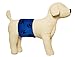 Belly Band for Male Dog Training and Incontinence (Blue Paw Print) (Medium: 17