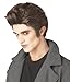 California Costumes Men's Love At First Bite Wig