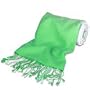 Forzieri Green Pashmina & Silk Shawl