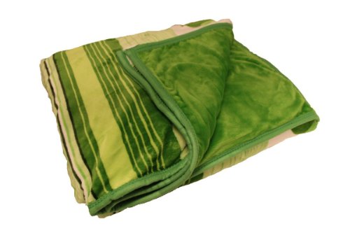 ArchAngel Micro-Plush 2ply Queen Blanket - Green Grass