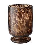 Lazy Susan Tortoise Hurricane Large
