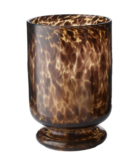 Lazy Susan Tortoise Hurricane Large