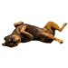 Rottweiler (Lying Back) Original Size Sculpture by Sandicast