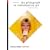 The Photograph as Contemporary Art (World of Art)