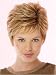Raquel Welch Counterpoint Wig