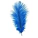 10pcs Home Decor Blue Ostrich Feathers