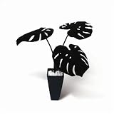 �s�l�H�ϗt�A���E���ԁtMonstera Deliciosa/BK(�����X�e�� �f���V�I�T)