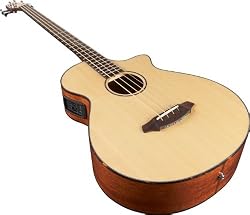 Breedlove Atlas Studio BJ350/SM4  Acoustic Electric Bass