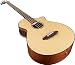Breedlove Atlas Studio BJ350/SM4  Acoustic Electric Bass