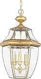 Quoizel NY1179B Newbury 3-Light Outdoor Hanging Lantern, Polished Brass by Quoizel [並行輸入品]