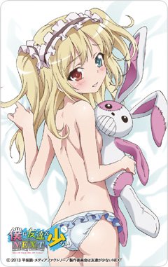 「僕は友達が少ない　ＮＥＸＴ」羽瀬川小鳩 抱き枕カバー（２WAYトリコット）限定版　限定テレカ付