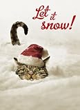 Avanti Plus Christmas Cards, Snowbound Tabby, 10 Count