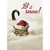 Avanti Plus Christmas Cards, Snowbound Tabby, 10 Count