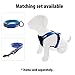 Pawtitas 6 FT Padded Dog Leash with Comfortable Neoprene Padding Handle - Blue Lead | Small Reflective Dog Leash with Highly Reflective Band Perfect for Extra Small and Small Dogs and Puppies.