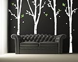 Pop Decors Vinyl Art Wall Decals, Four Super Birch Trees