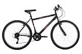 Activ by Raleigh Flyte II Men's Rigid Mountain Bike - Black, 19  Inch