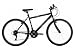 Activ by Raleigh Flyte II Mens Rigid Mountain Bike - Black, 19  Inch