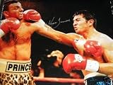 MARCO ANTONIO BARRERA AUTOGRAPHED BOXING AWESOME 16X20 PHOTO DESTROYS HAMED (BOXING)