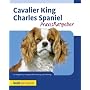 Cavalier King Charles Spaniel von Juliette Cunliffe