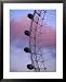 Detail of London Eye, London, United Kingdom Places Framed Art Poster Print by Richard I'Anson, 25x31