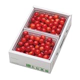 【発送は6月下旬頃から】山形県産さくらんぼ「佐藤錦」1kg（500×2）バラ詰