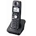 EXTRA HANDSET FOR TG6000 SERIE