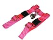 Sandia Pet Products Neon Pink Ferret Harness with Bell Sandia Pet Products Neon Pink Ferret Harness with Bell