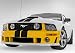 Roush 401422 Front Fascia for Mustang '05