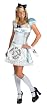 Teen and Adult Alice in Wonderland Costume