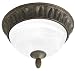 Thomas Lighting SL848223 2 Light Flush Mount Ceiling Light,