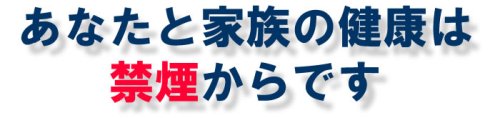 Cover image : NOSMOQ禁煙草 レギュラー110本
