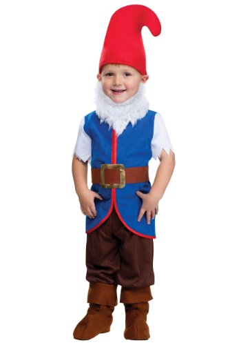 Gnome Boy Toddler Costume, Small, 24 months - 2T