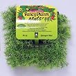 Instant Ocean Fancy Plant Mat Springeri-Green