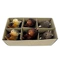 Animal Ornament Set in Gift Box - Brown (6 ct)