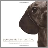 Dachshunds Short and Long 画像