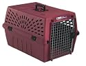 Petmate Deluxe Pet Porter Jr. Large Kennel, Peacock